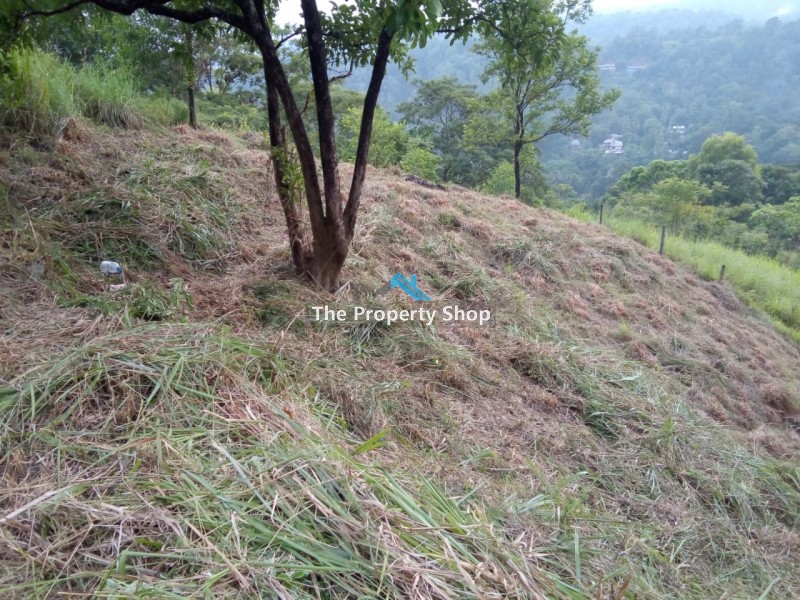ull; 40.p Land in "peradeniya"mahakanda , Kandy.ull; Ideal for business purpose. (Guest House / Holiday Home).ull; Parking available for 3 vehicles in front space.ull; Excellent view of the mountain Rangeull; Water,Electricity,Telephone facilities are available.ull; Documents in orderull; Good neighbourhood.ull; Quiet natural surroundings.ull; Easy access to peradeniyaull; Taxi Stand, Shops, mini Supermarkets,Bank: 10 minutes.ull; Easy access to "peradeniya",only 10 minutes away.                                                                                        ull; City limit in just:         peradenya : 4Km                 To mahakanda town: 700mCall us for an appointment to visit the property.Please contact us for more Details: Hotline - 0815662566 / 0777 507 501                                       Genuine buyers only.NO BROKERS PLEASE..Visit our website for more properties.